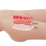torso-realistico-gambe-posizionabili-8-5-kg-1