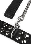 Avanza Feros Croc-Embossed Collar Leash 1