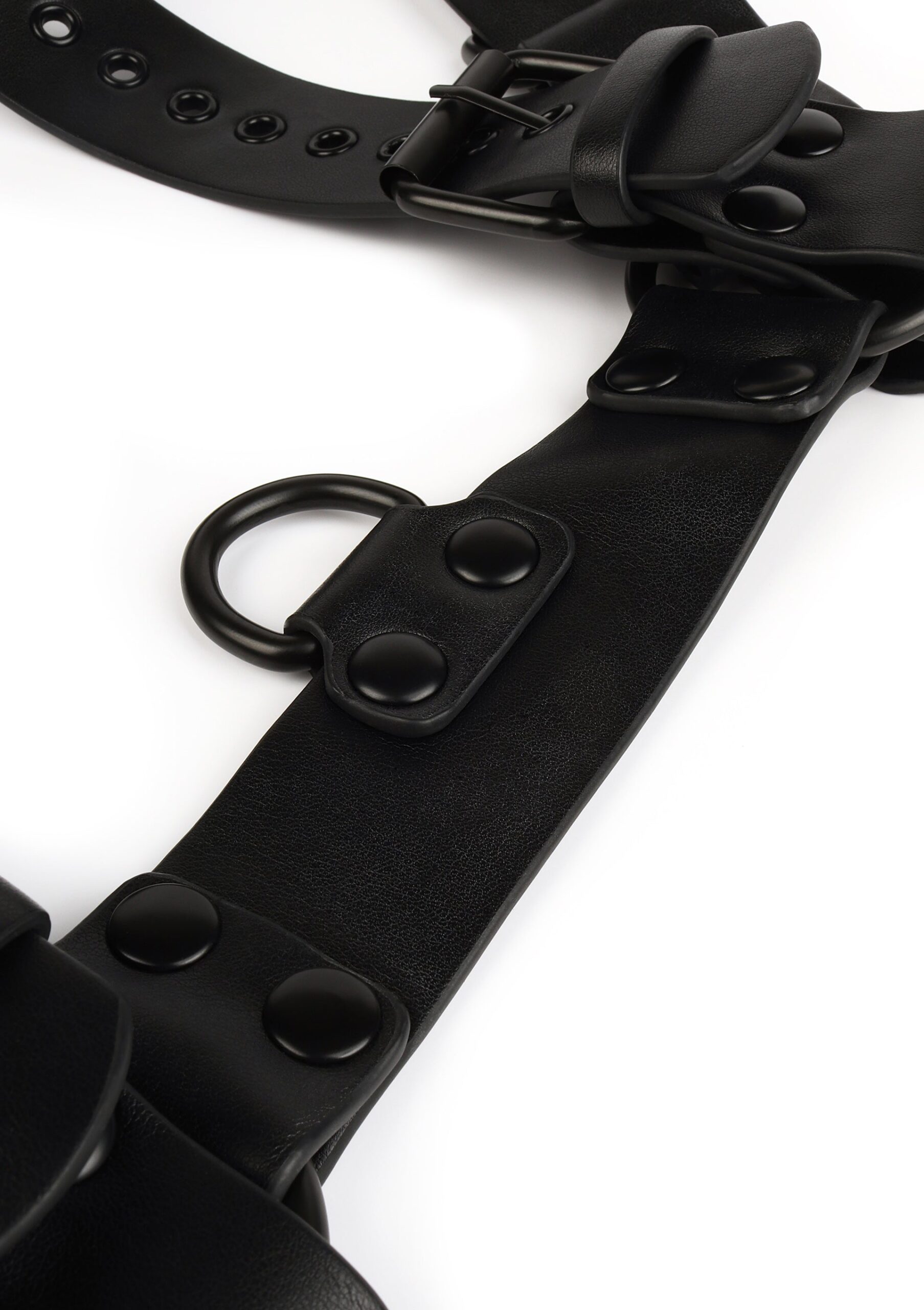 Avanza Vantage 8 Core Body Harness 5 Dettaglio della fibbia a rullino nera e dell anello a D sulla fascia dell imbracatura
