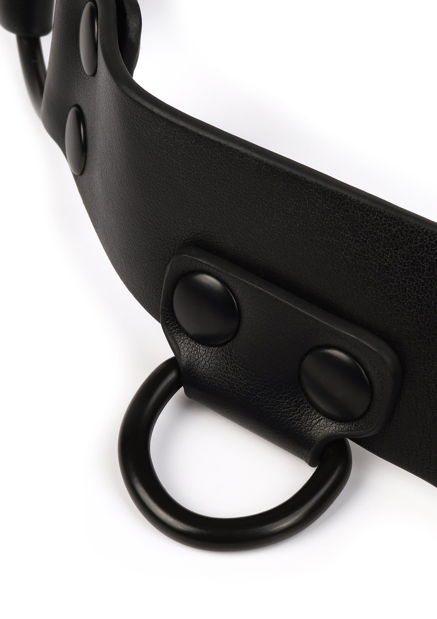 Avanza Vantage 8 Core Body Harness 7 Anello a D su passante ribattuto con due bottoni neri sulla fascia dell imbracatura
