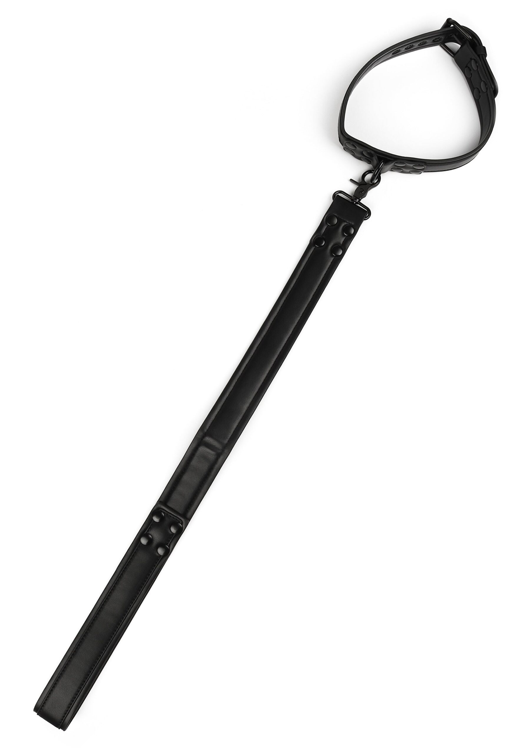 Avanza Vantage 8 Signature Collar Leash 3 Collare Avanza Vantage 8 chiuso ad anello con il guinzaglio lungo da 64 cm disteso