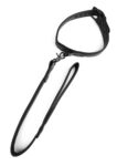 Avanza Vantage 8 Signature Collar Leash 1