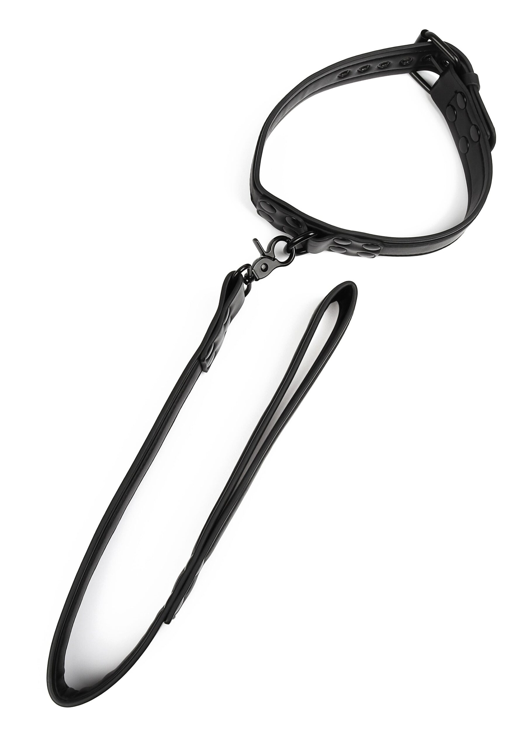 Avanza Vantage 8 Signature Collar Leash 4 Guinzaglio lungo Avanza Vantage 8 con impugnatura ad anello agganciato al collare imbottito