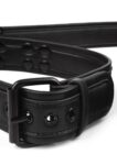 Avanza Vantage 8 Signature Collar Leash 1
