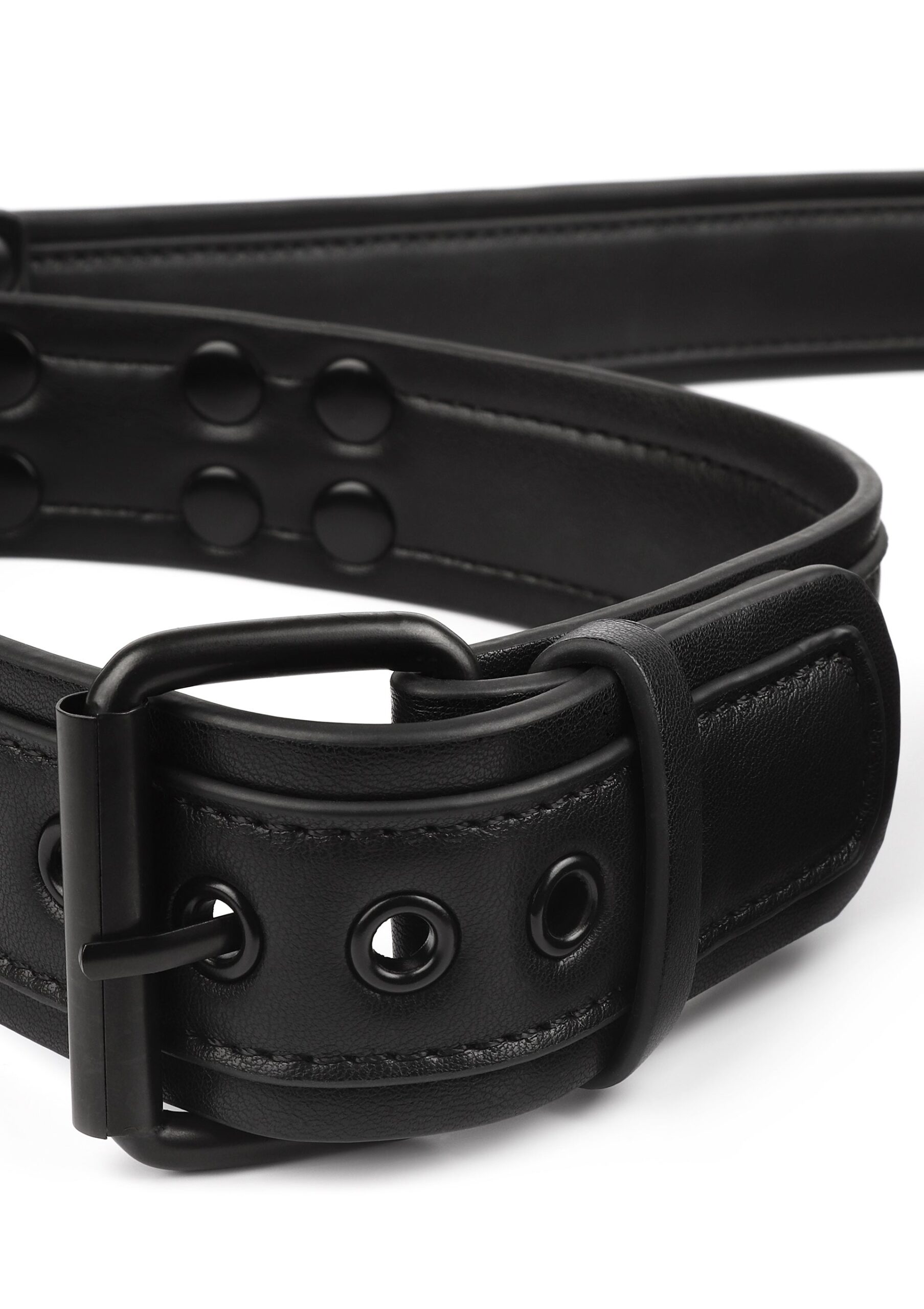 Avanza Vantage 8 Signature Collar Leash 5 Fibbia a rullino e bordo cucito del collare imbottito Avanza Vantage 8