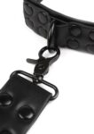 Avanza Vantage 8 Signature Collar Leash 1