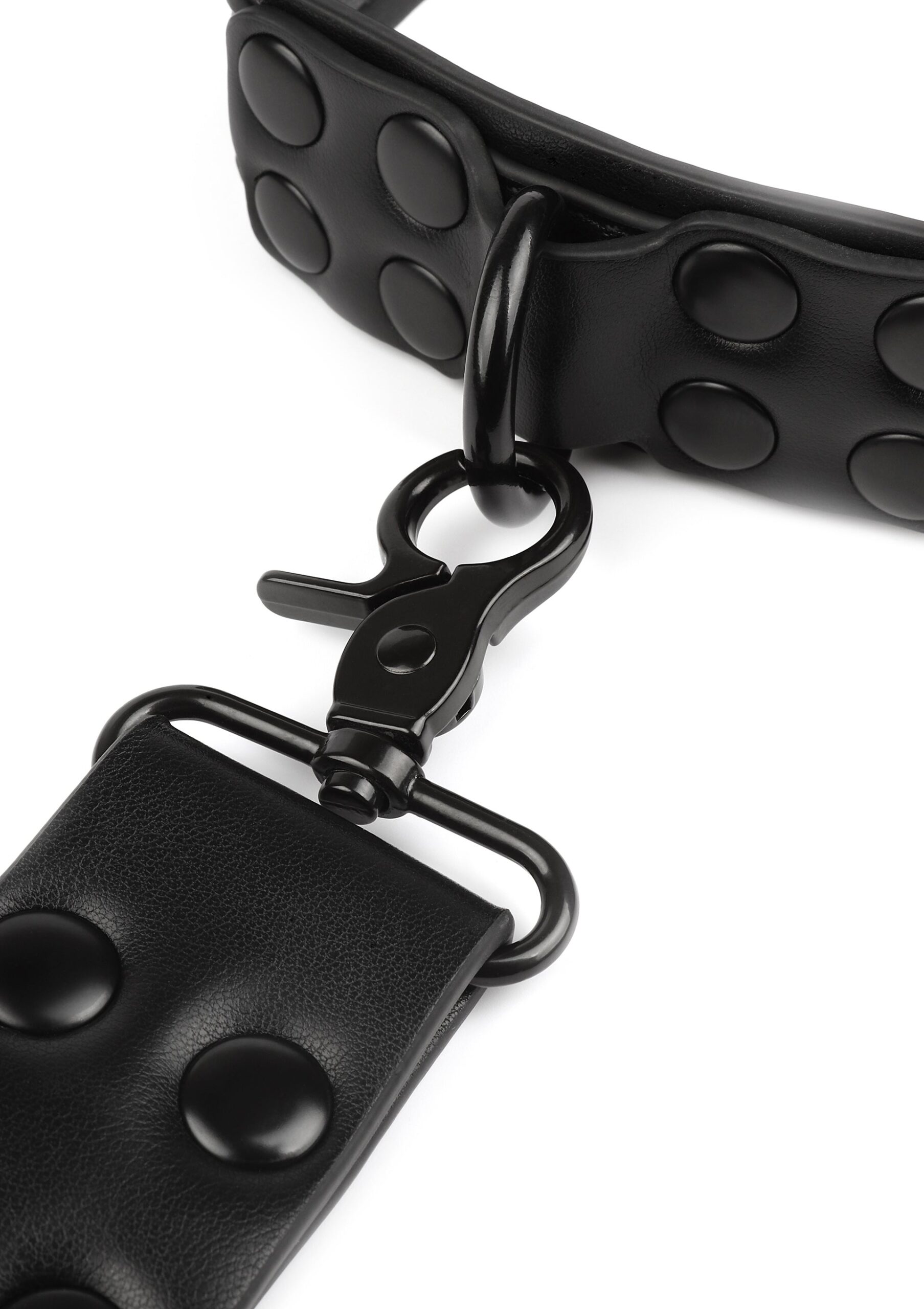 Avanza Vantage 8 Signature Collar Leash 6 Moschettone girevole nero opaco agganciato all anello a D del collare Avanza Vantage 8