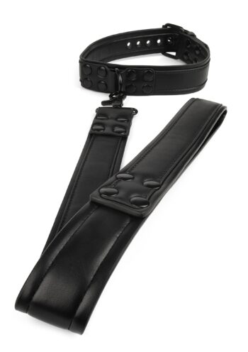 Collare imbottito Avanza Vantage 8 e guinzaglio lungo con impugnatura ad anello, vista d insieme
