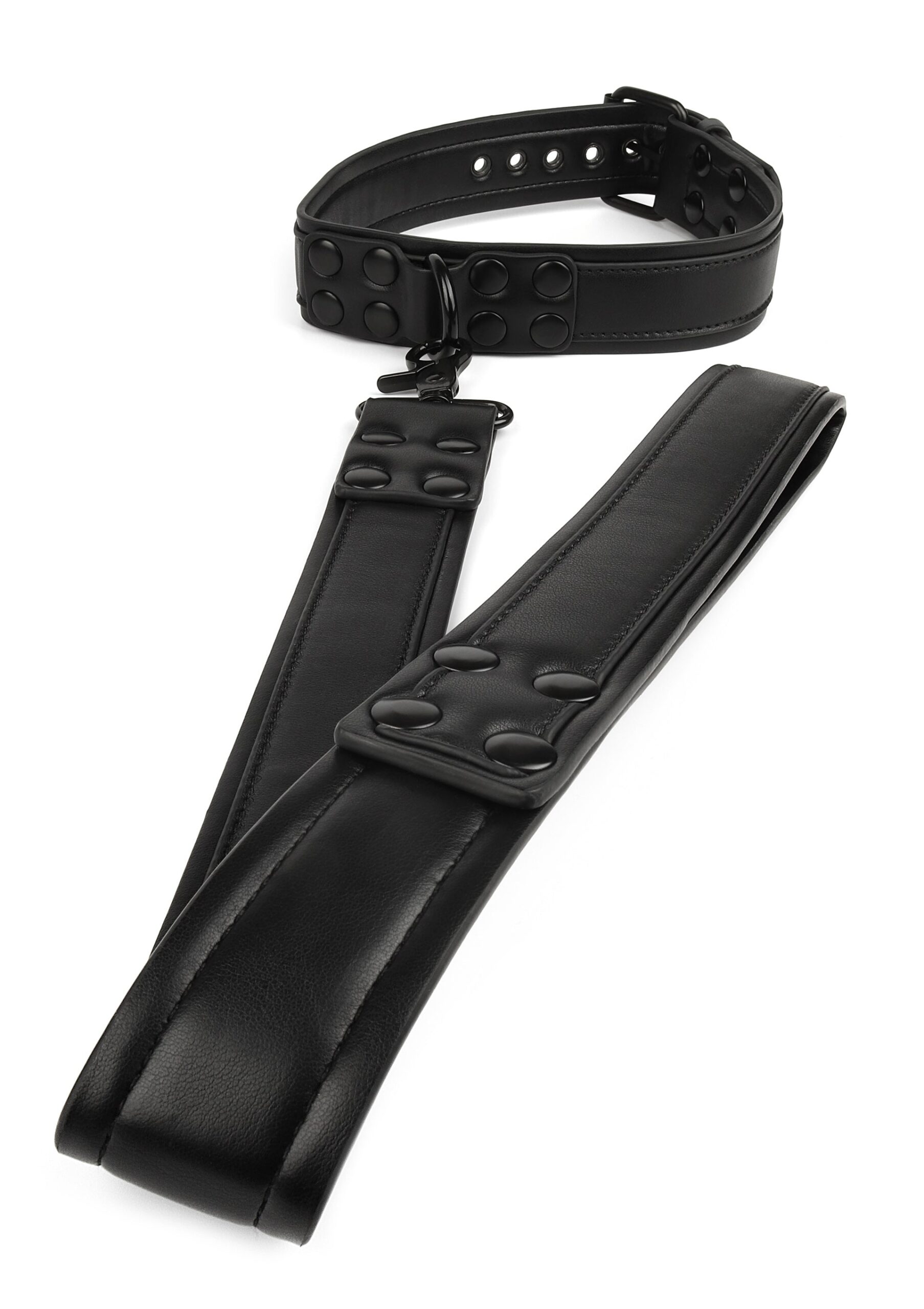 Avanza Vantage 8 Signature Collar Leash 7 Collare imbottito Avanza Vantage 8 e guinzaglio lungo con impugnatura ad anello, vista d insieme