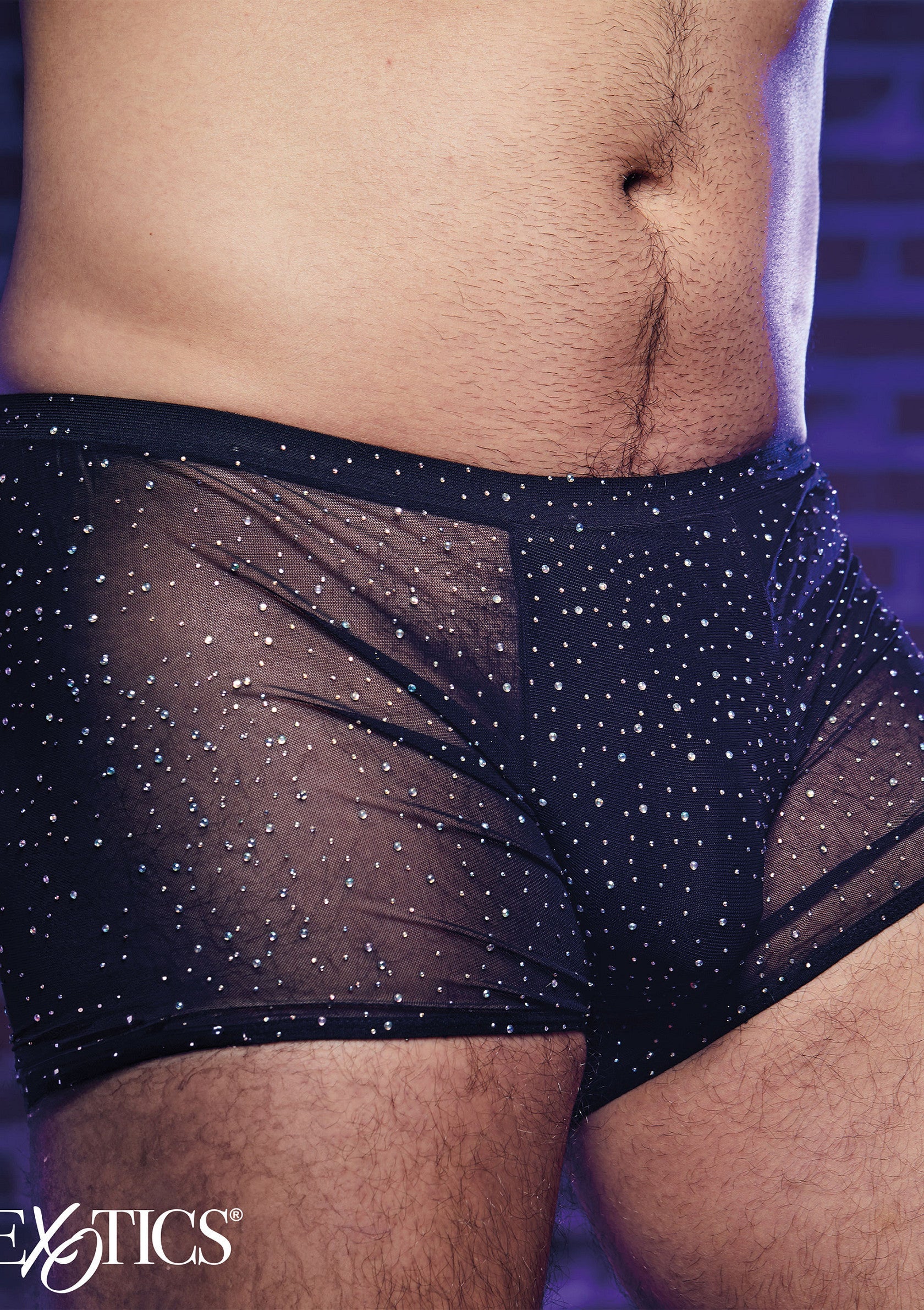 CalExotics Radiance Boxer Briefs 01 CalExotics Radiance boxer uomo in rete nera con strass, indossato di lato