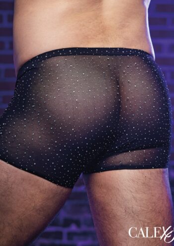 CalExotics Radiance boxer vista posteriore indossato, copertura piena