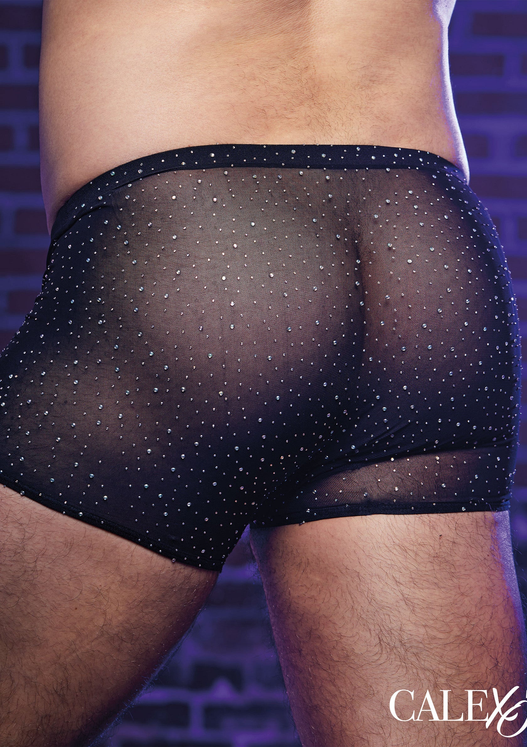 CalExotics Radiance Boxer Briefs 02 CalExotics Radiance boxer vista posteriore indossato, copertura piena
