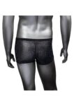 CalExotics Radiance Boxer Briefs 01