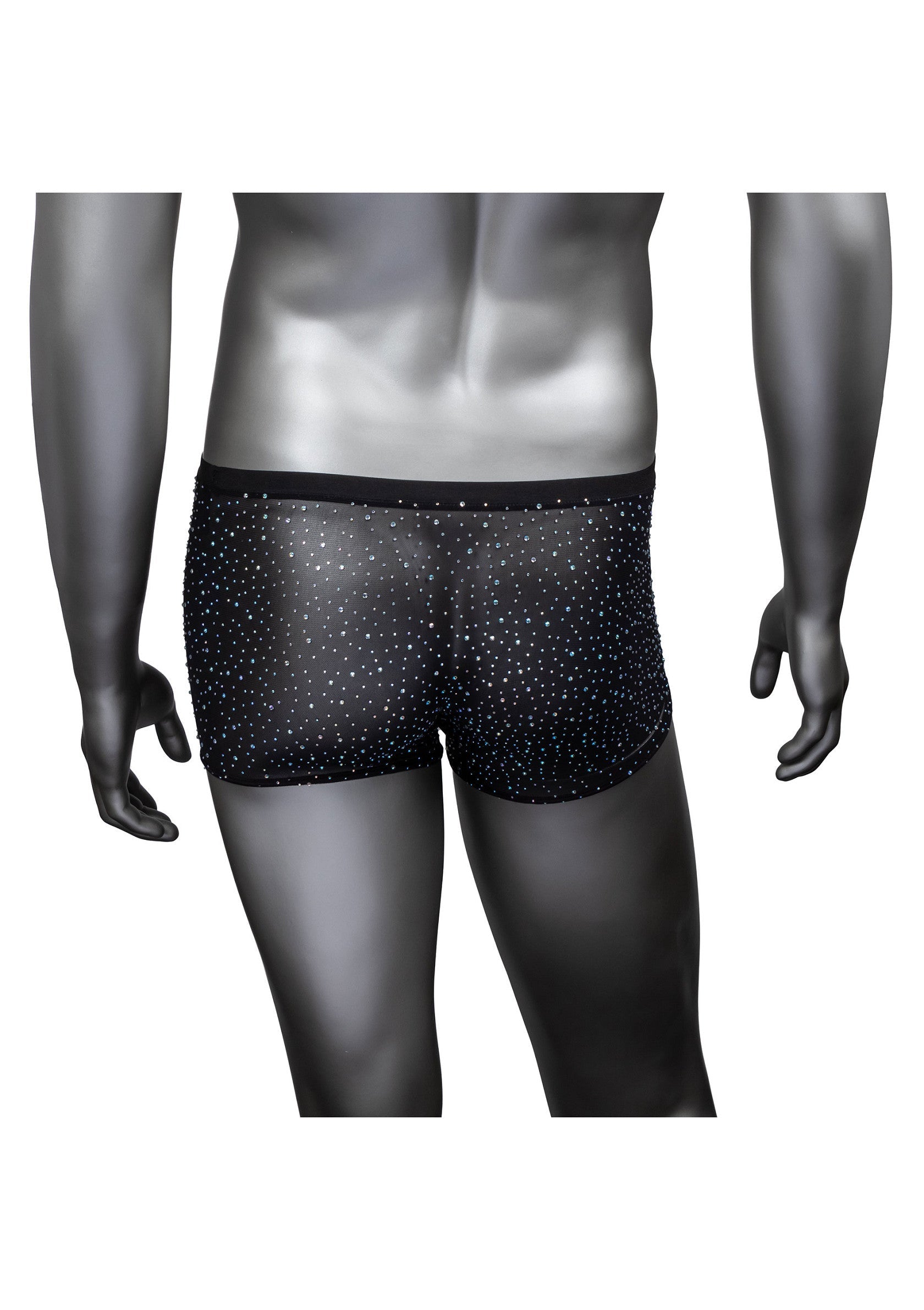 CalExotics Radiance Boxer Briefs 04 CalExotics Radiance boxer su manichino, vista posteriore e gamba corta