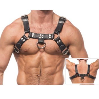 Leather Body bulldog harness indossata, dettaglio delle fibbie e vista posteriore