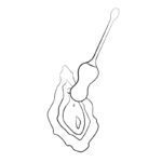 ROMP Cello 1